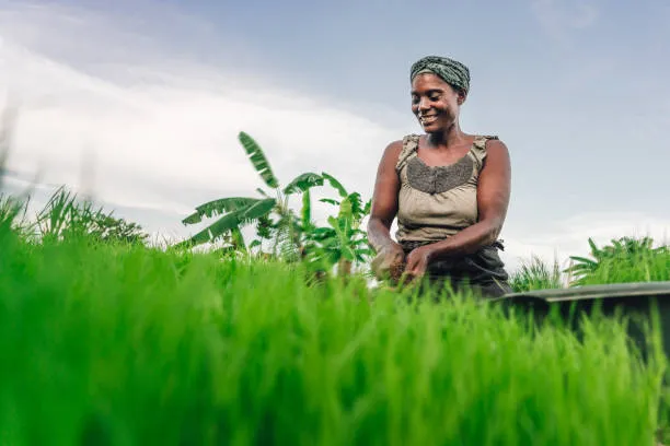 Evarich Green Farms testimonial